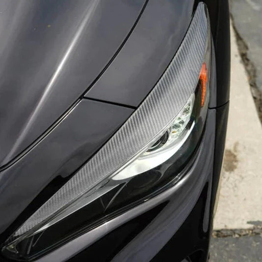 Q50 Eyelids